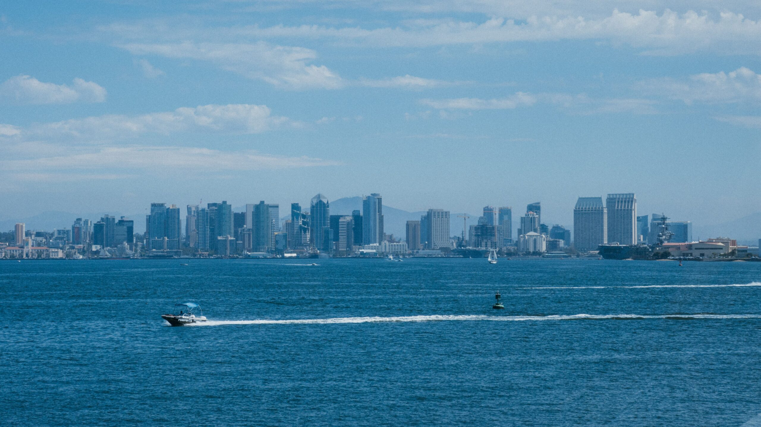 Corymb consultant reviewing a San Diego client's data and workflow systems
